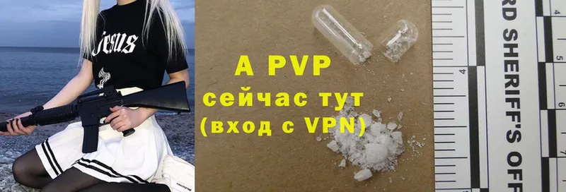 A PVP СК КРИС Благовещенск